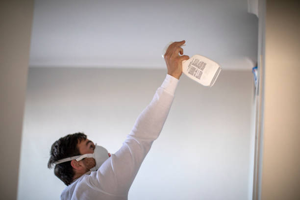 Best Office Mold Removal Services  in Bradley, WV