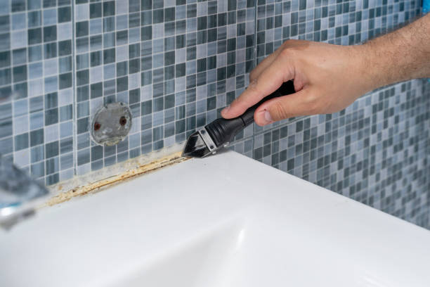 Mold Removal and Inspection in Bradley, WV